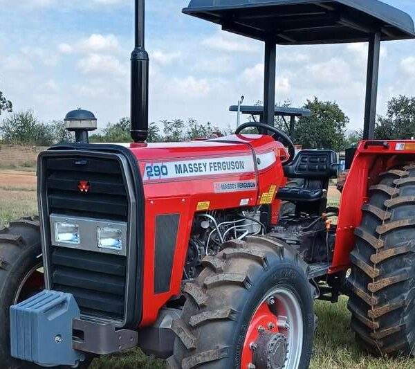 Massey Ferguson 290 4WD Tractor - 2015